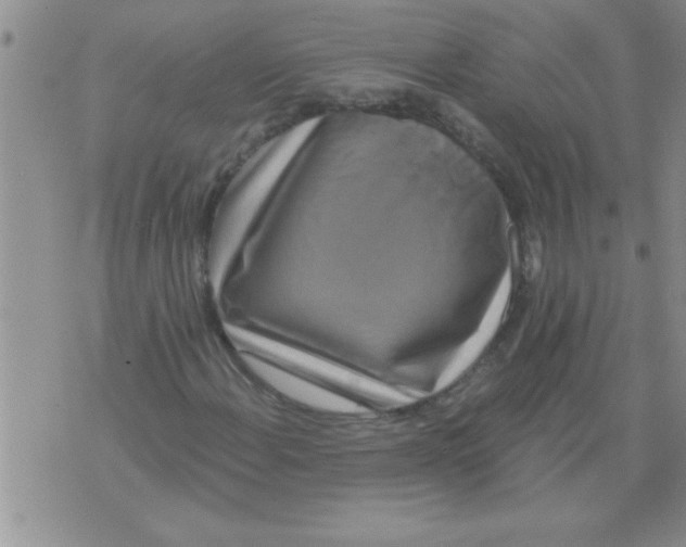 X0000071821108200607290010