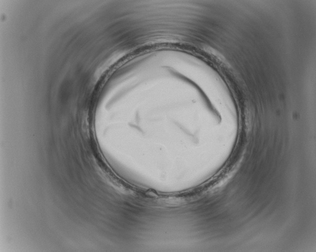 X0000071821113200607290010