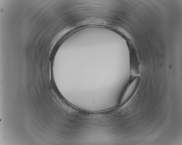 X0000071821123200607290010