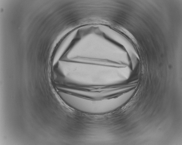 X0000071821144200607290011