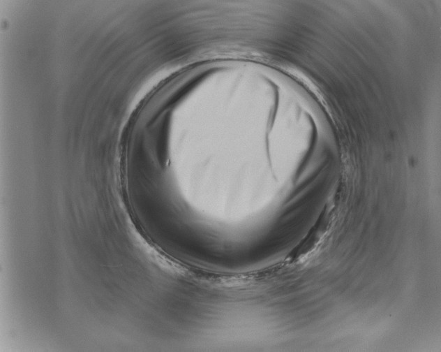 X0000071821147200607290011