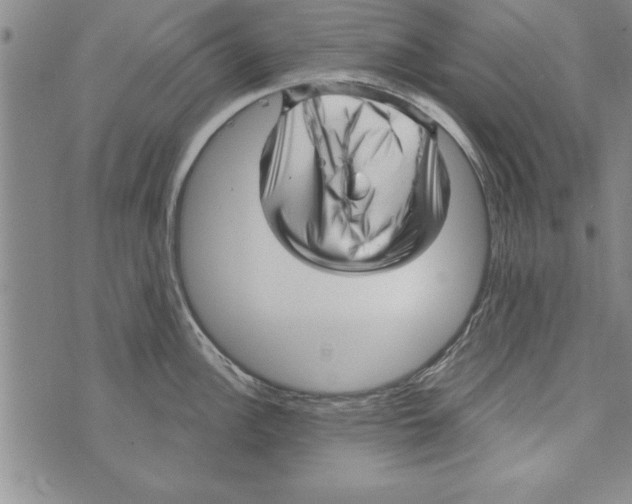 X0000071821148200607290011