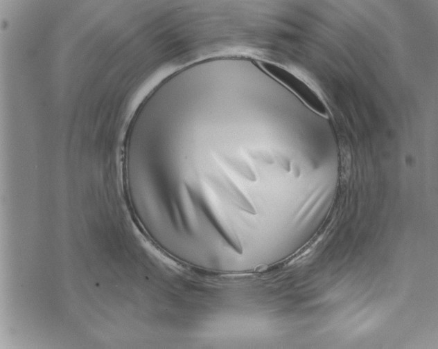 X0000071821151200607290011