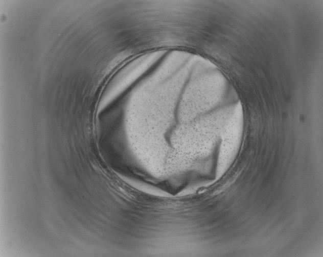 X0000071821170200607290010
