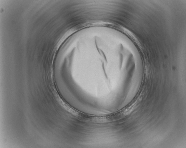 X0000071821194200607290009