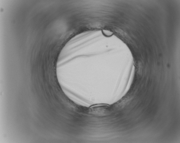 X0000071821201200607290009