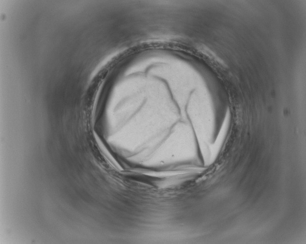 X0000071821208200607290009