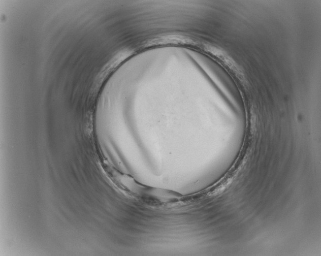 X0000071821233200607290009