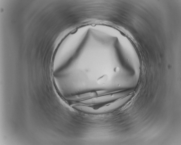 X0000071821247200607290009