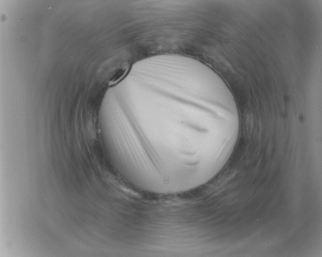 X0000071821250200607290009