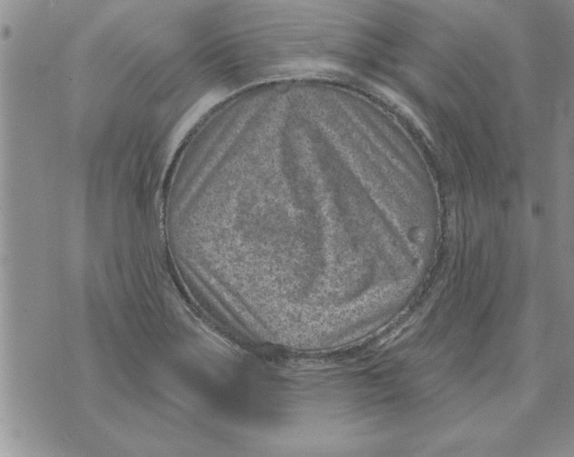 X0000071821275200607290008