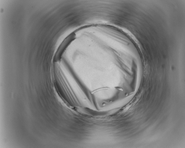 X0000071821295200607290008
