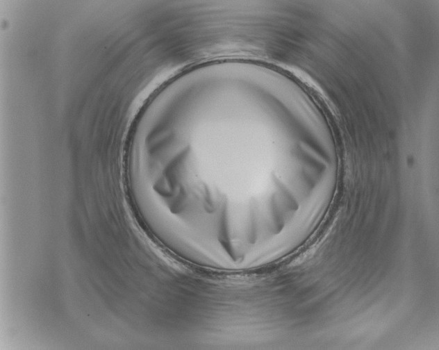 X0000071821333200607290008