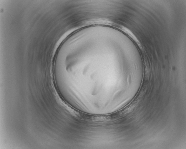 X0000071821339200607290008