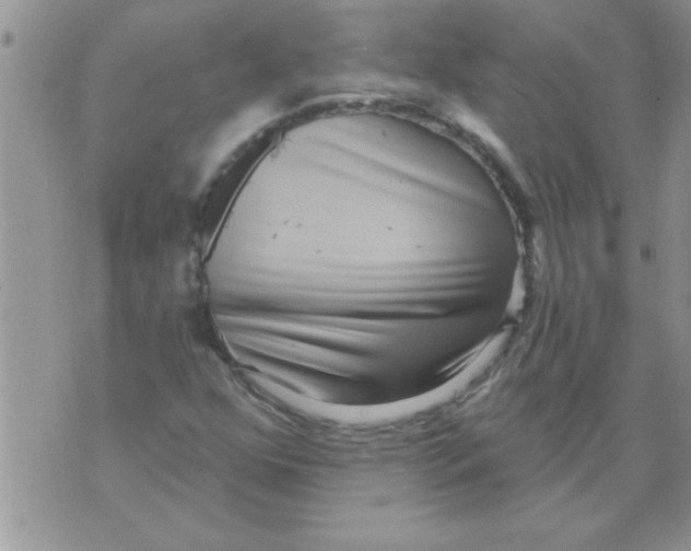 X0000071821352200607290007
