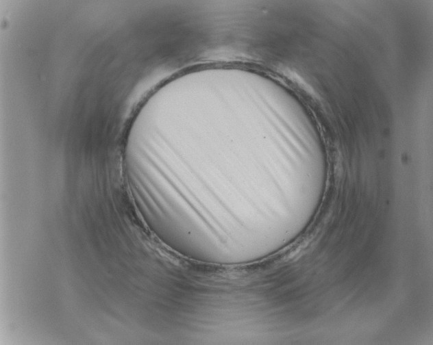 X0000071821358200607290007
