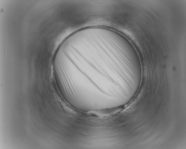 X0000071821366200607290007