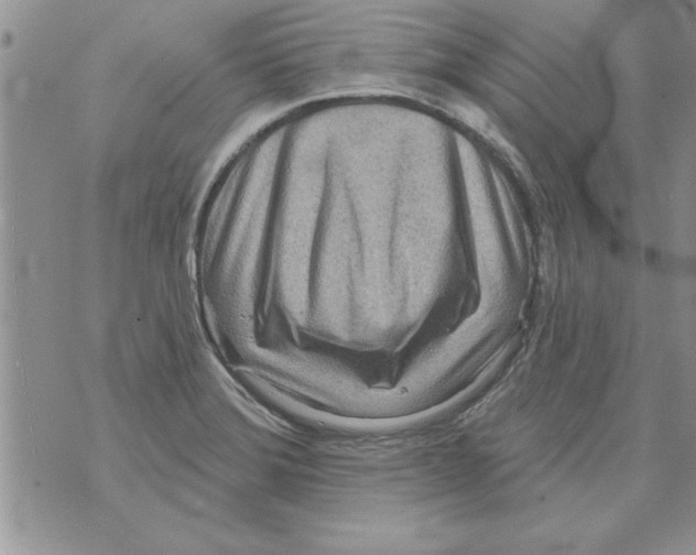 X0000071821372200607290007