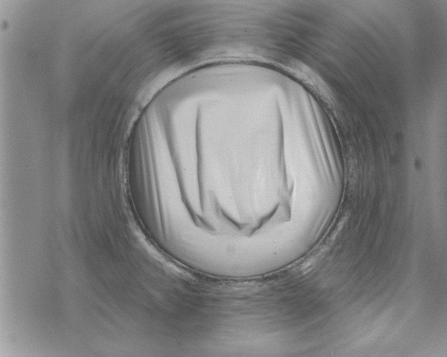 X0000071821382200607290006