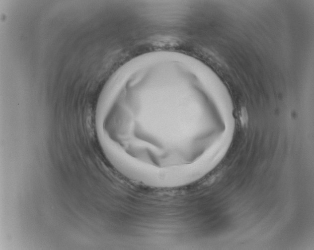 X0000071821396200607290006