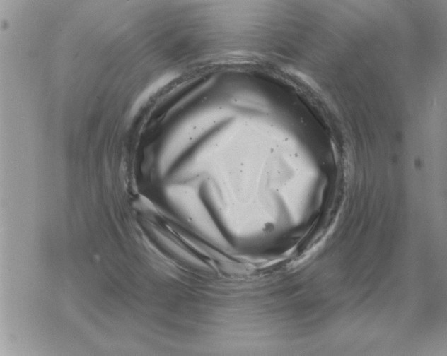 X0000071821402200607290006