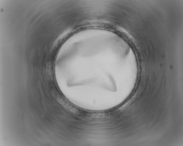 X0000071821403200607290006