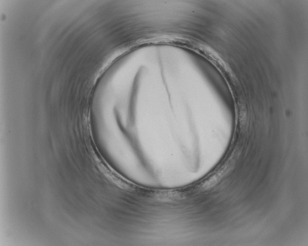 X0000071821417200607290006