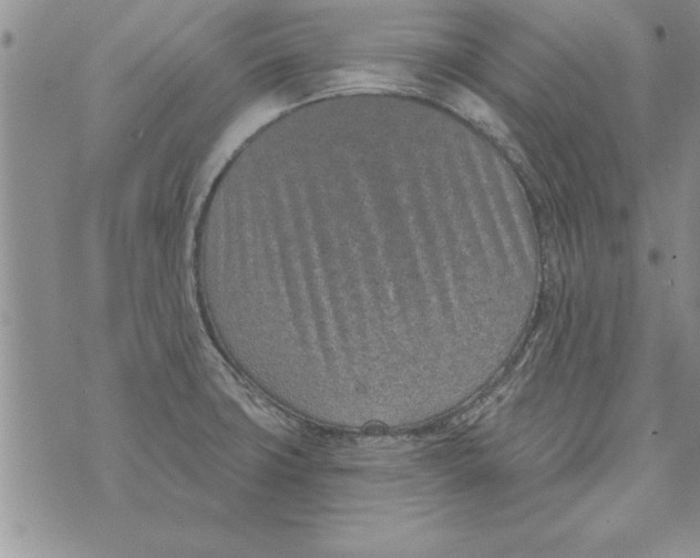 X0000071821427200607290006