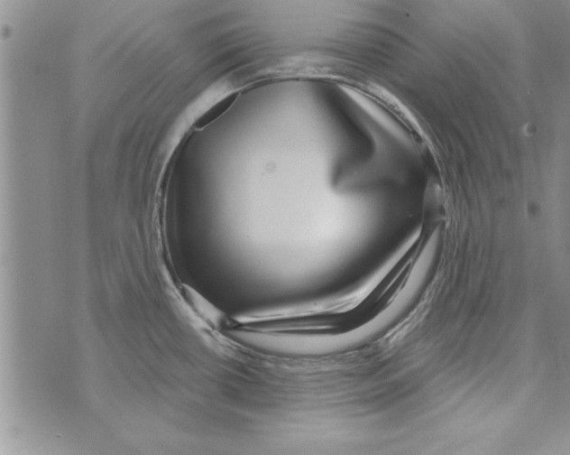 X0000071821434200607290006