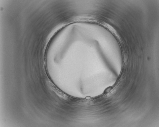 X0000071821435200607290006