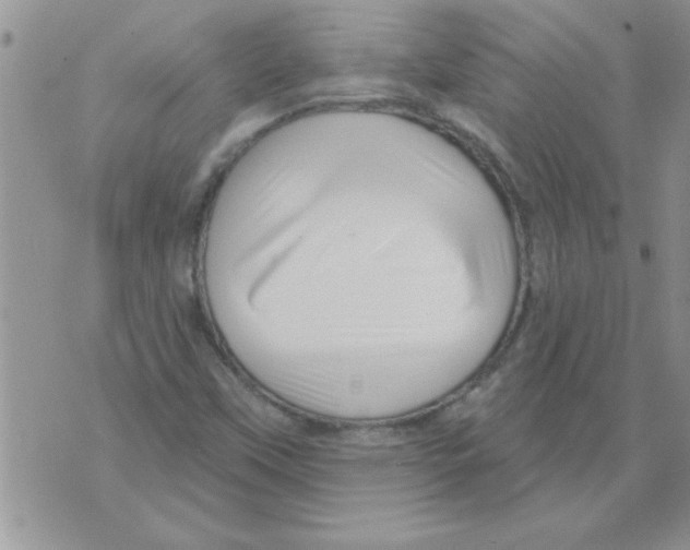 X0000071821451200607290005
