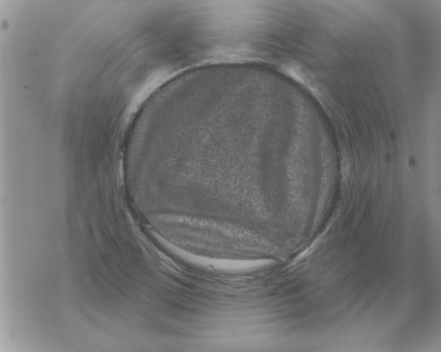 X0000071821459200607290005
