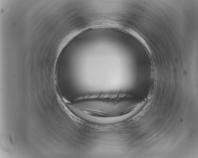 X0000071821485200607290005