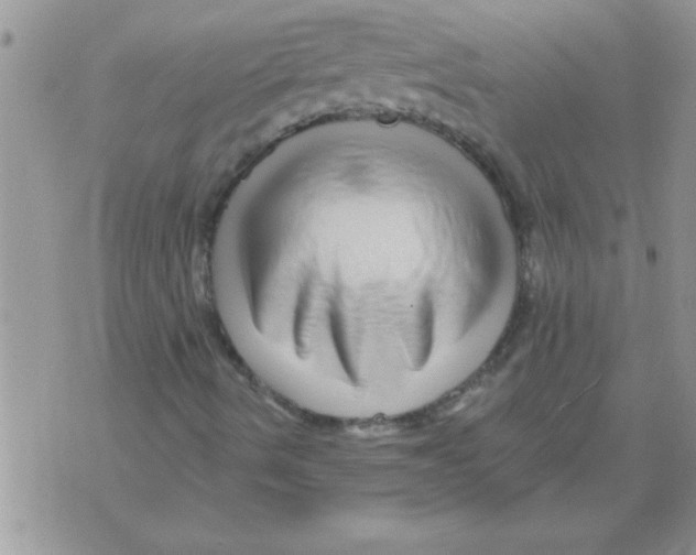 X0000071821490200607290004