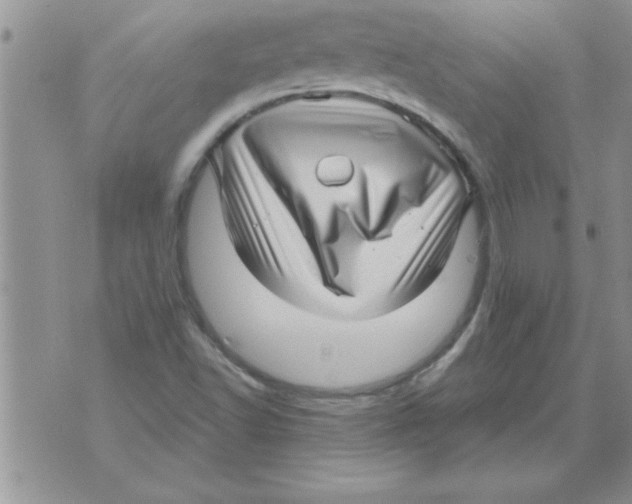 X0000071821502200607290004