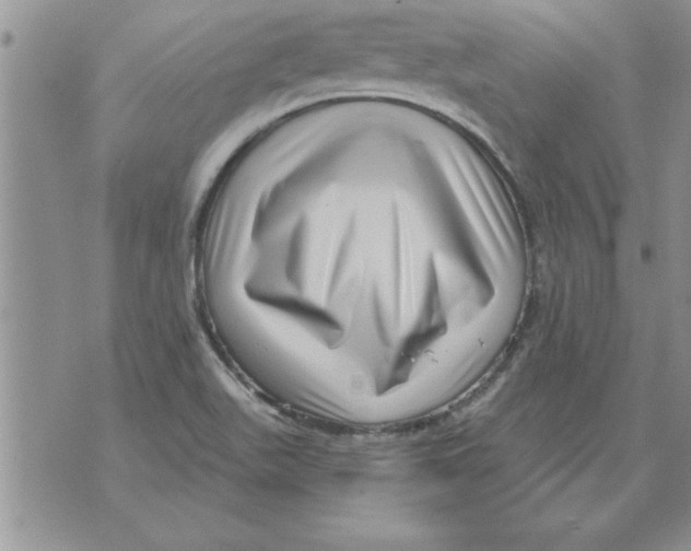 X0000071821511200607290004