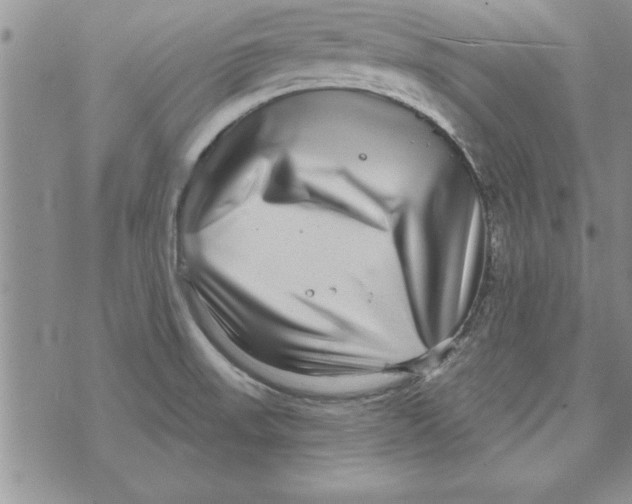 X0000071821523200607290004