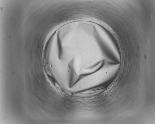 X0000071821536200607290005
