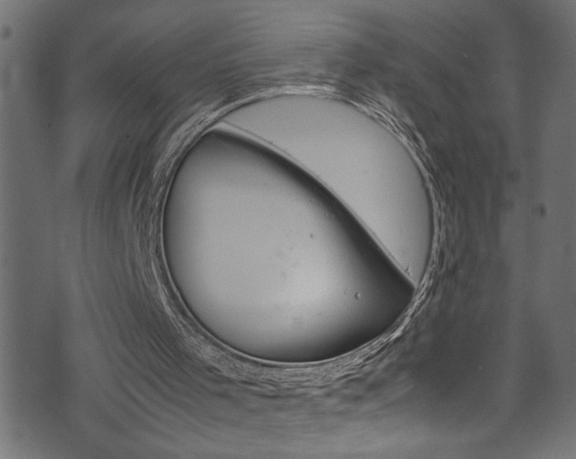 X0000071830001200606301047