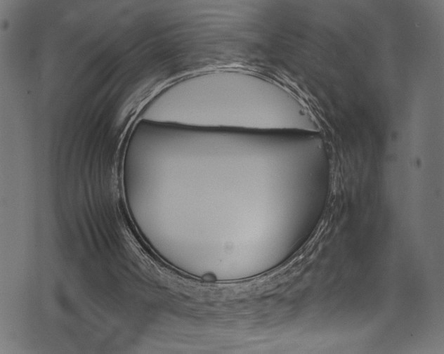 X0000071830002200606301047