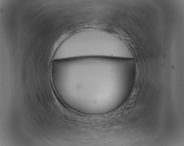 X0000071830003200606301047