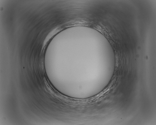 X0000071830004200606301047