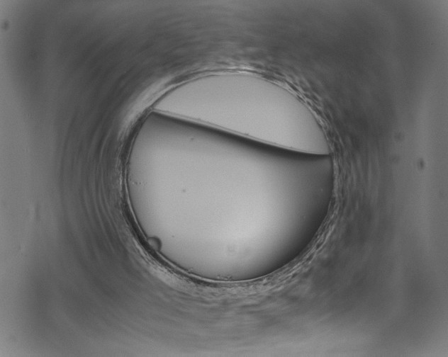 X0000071830005200606301047