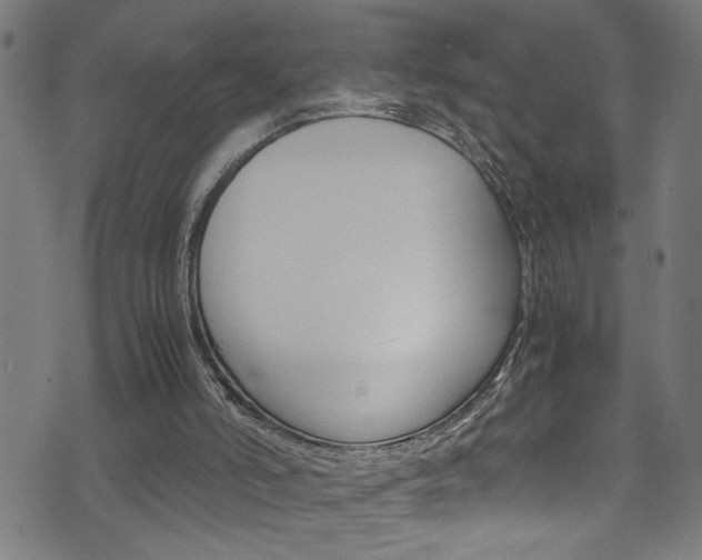 X0000071830006200606301047