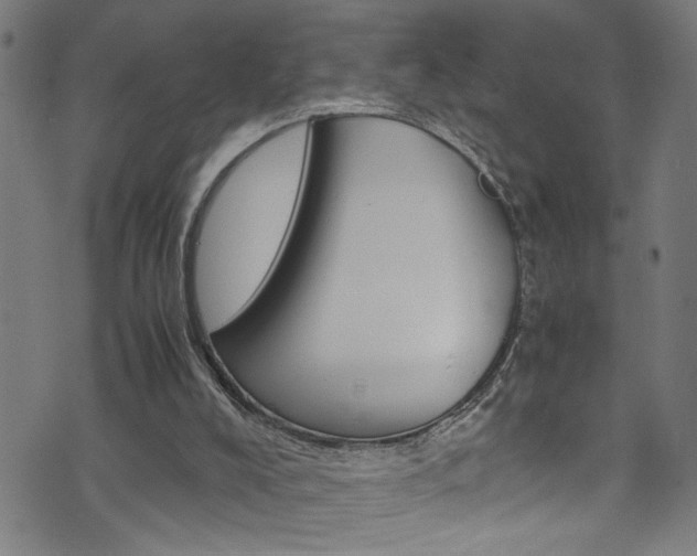 X0000071830008200606301047