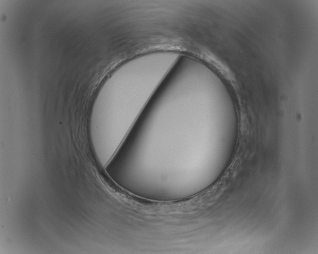 X0000071830009200606301047