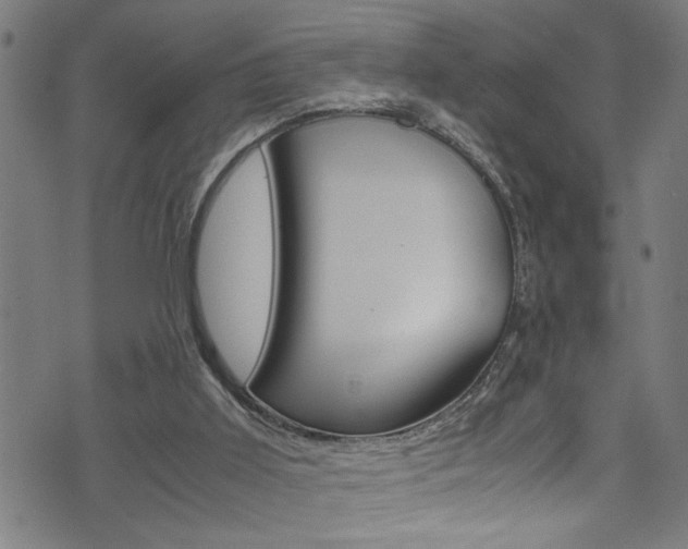 X0000071830011200606301047