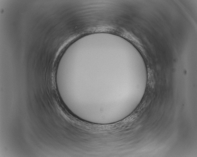 X0000071830012200606301047