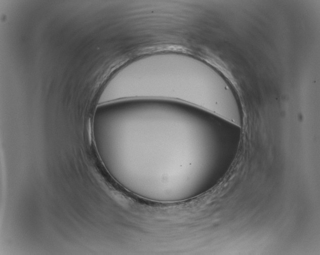 X0000071830013200606301047