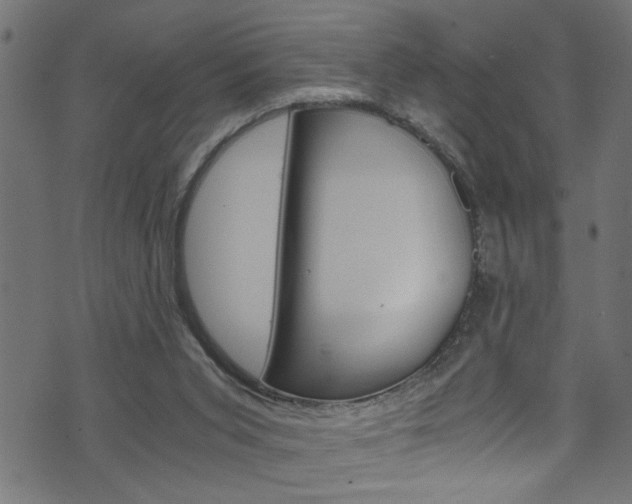 X0000071830015200606301047